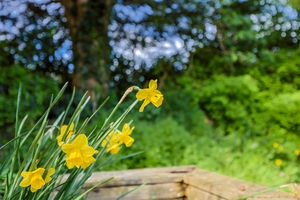 Photo 10- click for photo gallery